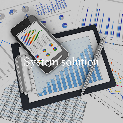 System solution